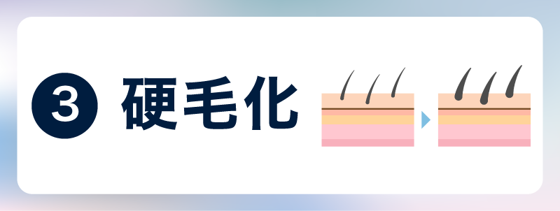 硬毛化