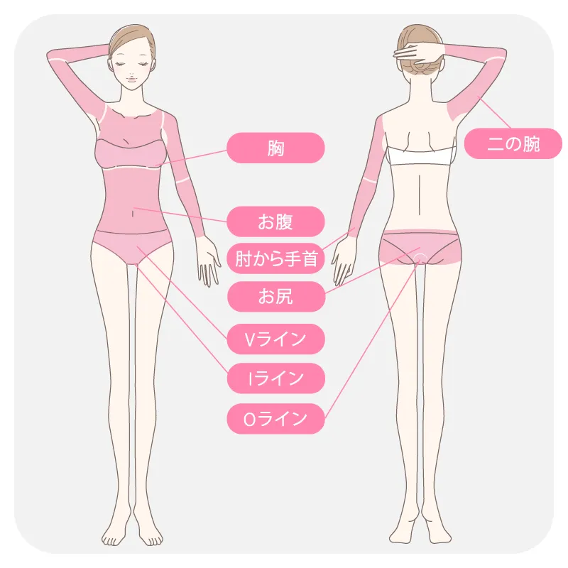 エルプラスクリニック　Mパーツ（2pt）