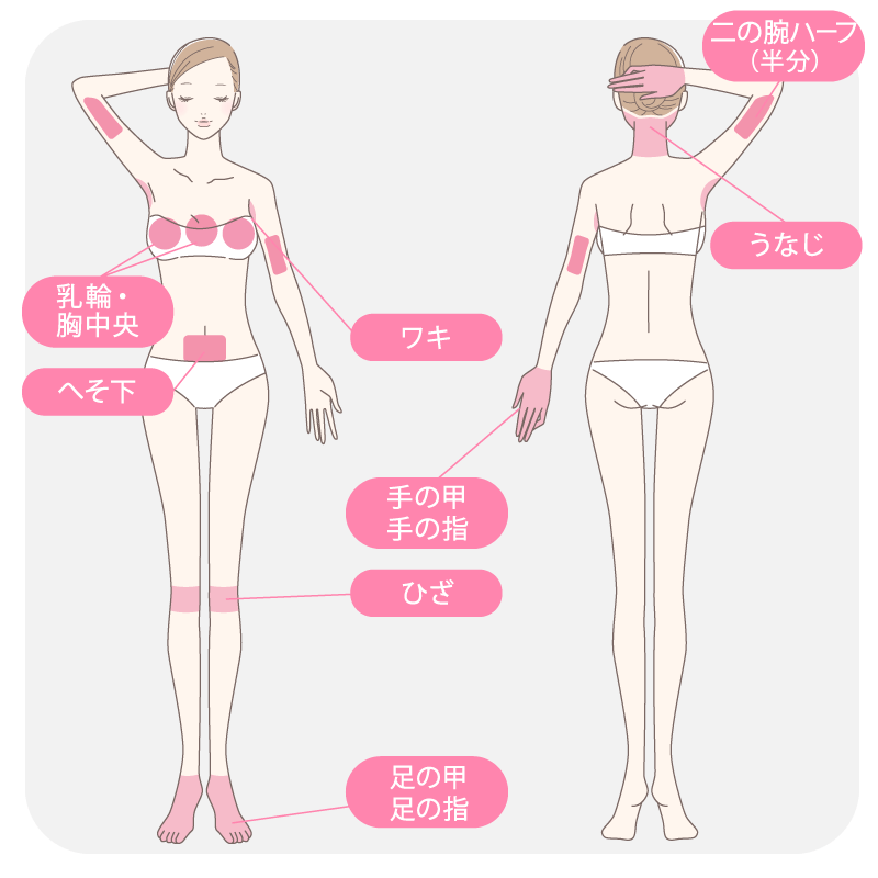 エルプラスクリニック　Sパーツ（1pt）