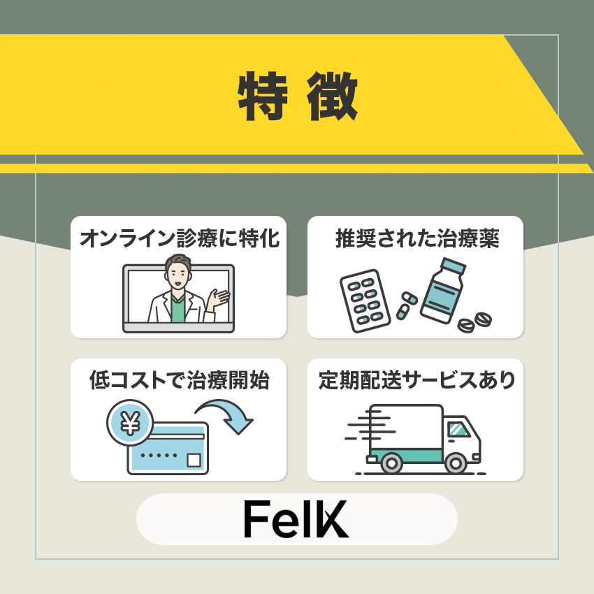 FelK(フェルケ)の特徴
