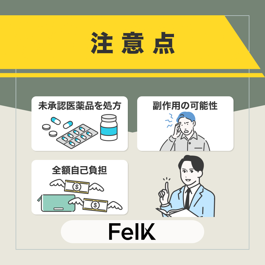 FelK(フェルケ)を利用する際の注意点